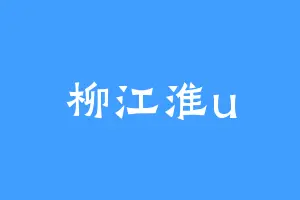 柳江淮u