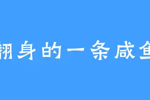 翻身的一条咸鱼