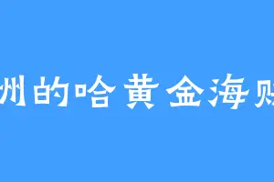 云洲的哈黄金海贼团