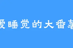 爱睡觉的大番薯