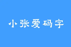 小张爱码字