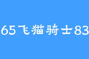 65飞猫骑士83